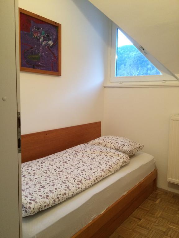 Apartment Franc 克拉尼斯卡戈拉 外观 照片